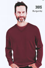 Load image into Gallery viewer, Men&#39;s Cashmere V-Neck Sweater #3101S
