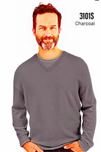 Load image into Gallery viewer, Men&#39;s Cashmere V-Neck Sweater #3101S
