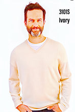 Load image into Gallery viewer, Men&#39;s Cashmere V-Neck Sweater #3101S
