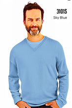 Load image into Gallery viewer, Men&#39;s Cashmere V-Neck Sweater #3101S
