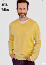 Load image into Gallery viewer, Men&#39;s Cashmere V-Neck Sweater #3101S
